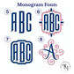 The Monogram Mini Tote